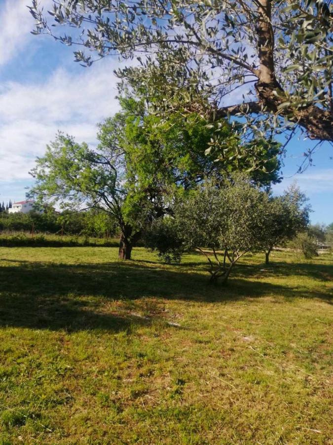 S&M Camping Sveti Filip i Jakov Exterior foto